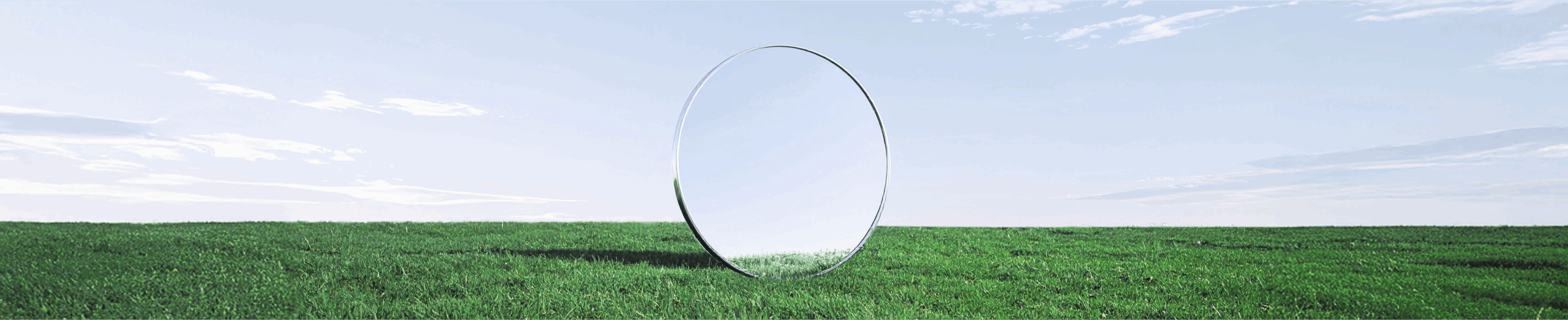 Зеркало на траве